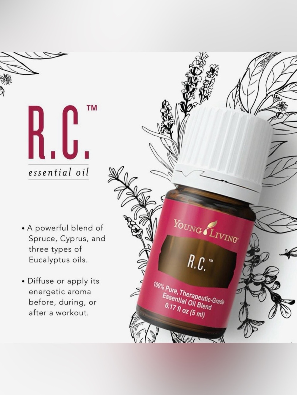 Young Living R.C. Essential Oil Blend 5 ml- BRAND NEW UNOPENED SEALED BOTTLE - Picture 3 of 8